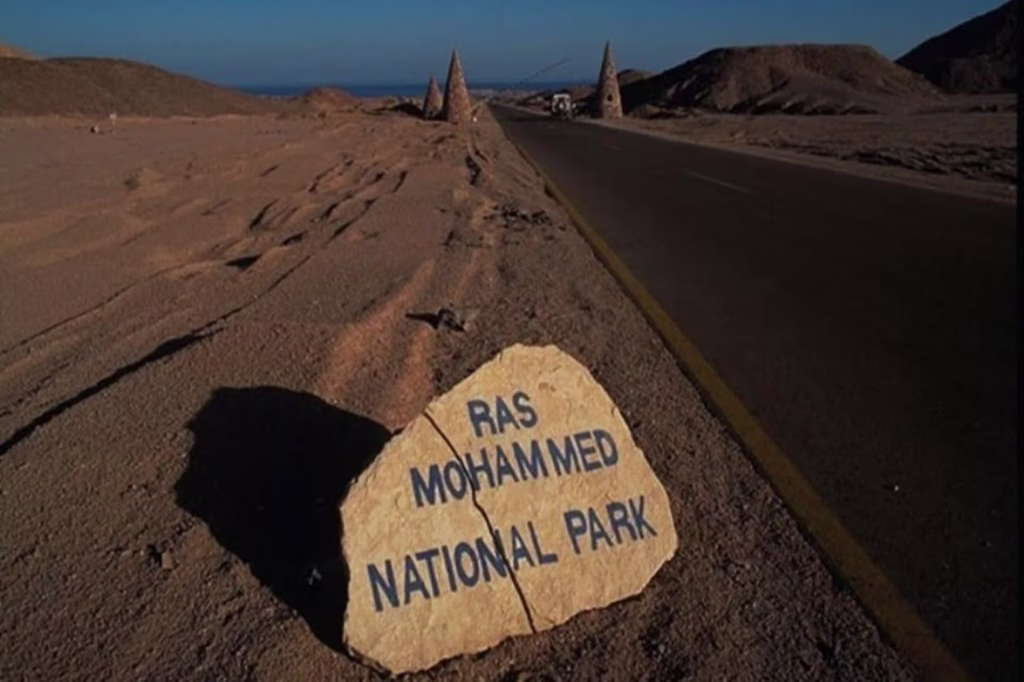 A natural stone sign reading "Ras Mohammed National Park" resting in the desert sand beside an asphalt road, with the park's distant entrance and the Red Sea in the background.
