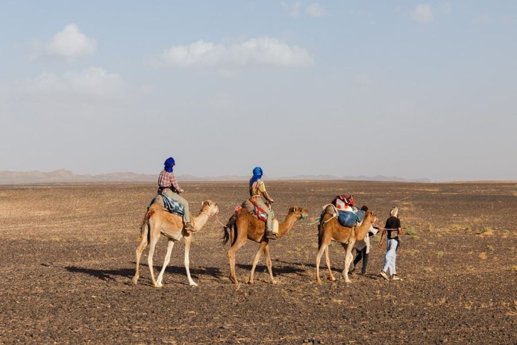 hurghada desert safari, camel ride hurghada