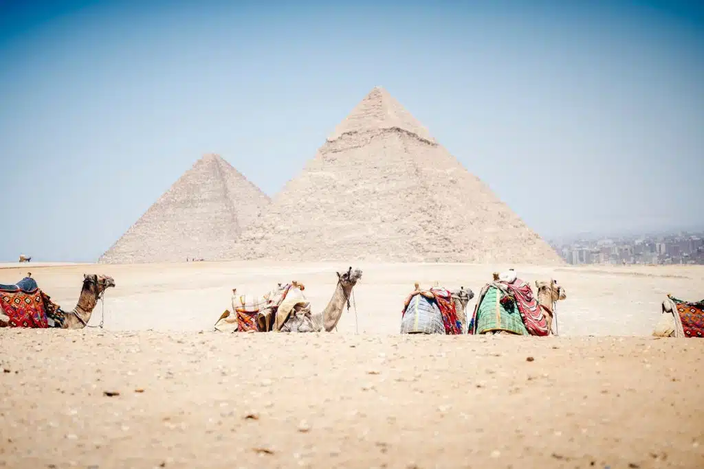 Camels resting near the Pyramids of Giza, quad bike, atv quad bike