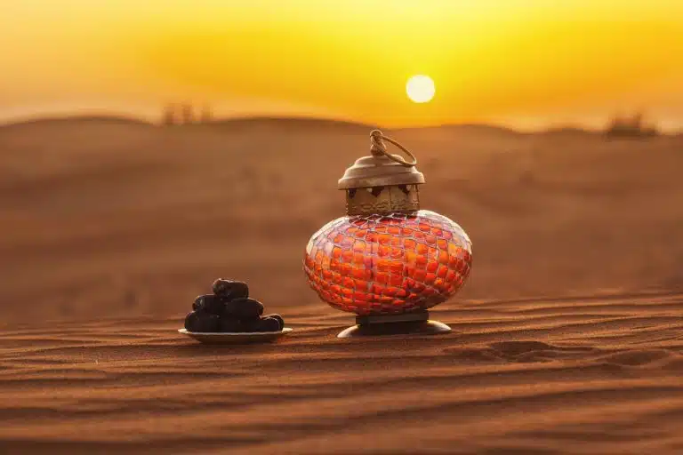 Lantern and dates in the desert hurghada camel ride, camel ride egypt