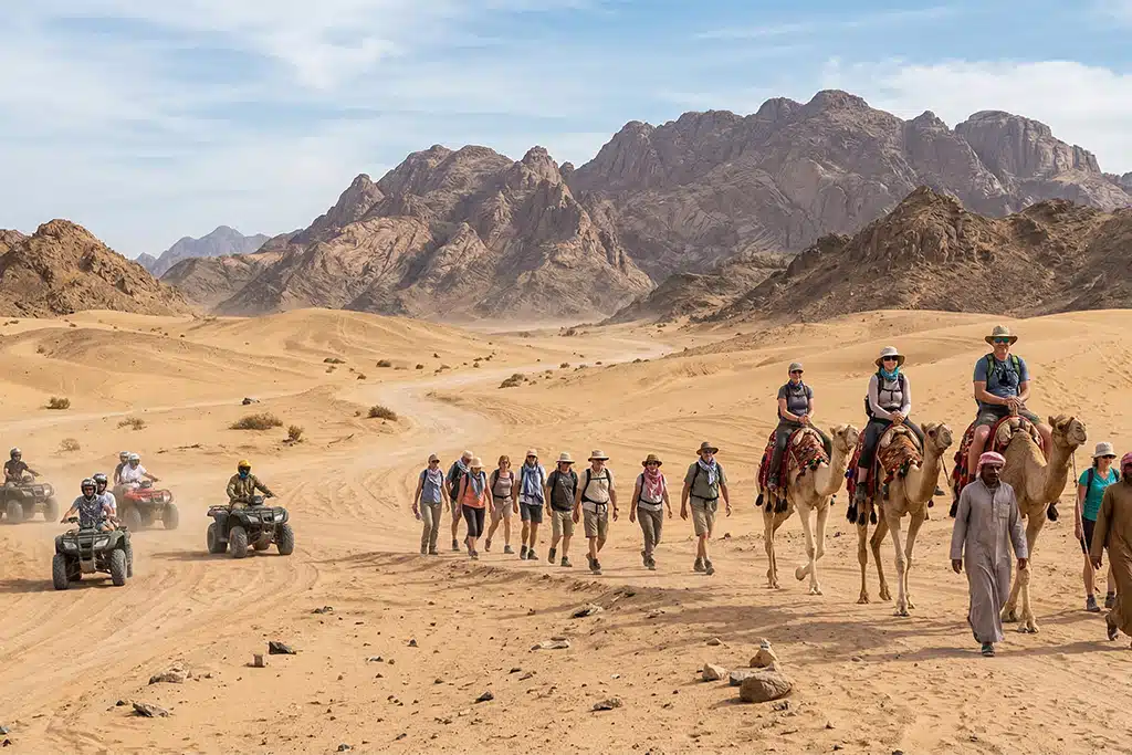 Group of travelers egypt camel tour, camel rides in egypt