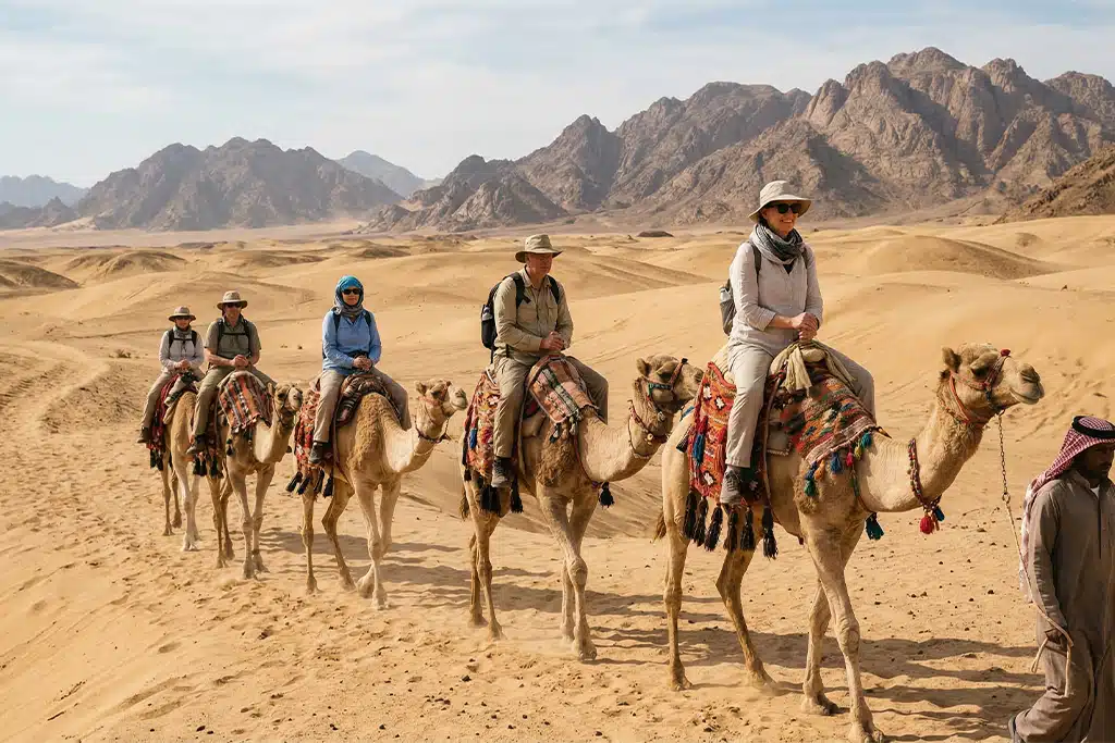 Group of tourists egypt camel tour, camel ride giza pyramids
