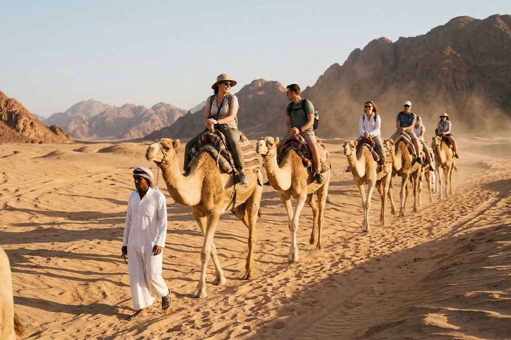 Camel ride in the desert egypt camel tour, pyramids of giza camel rides