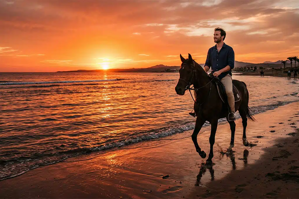 at sunset in Sharm El-Sheikh horse trail riding near me, horse riding on the beach near me