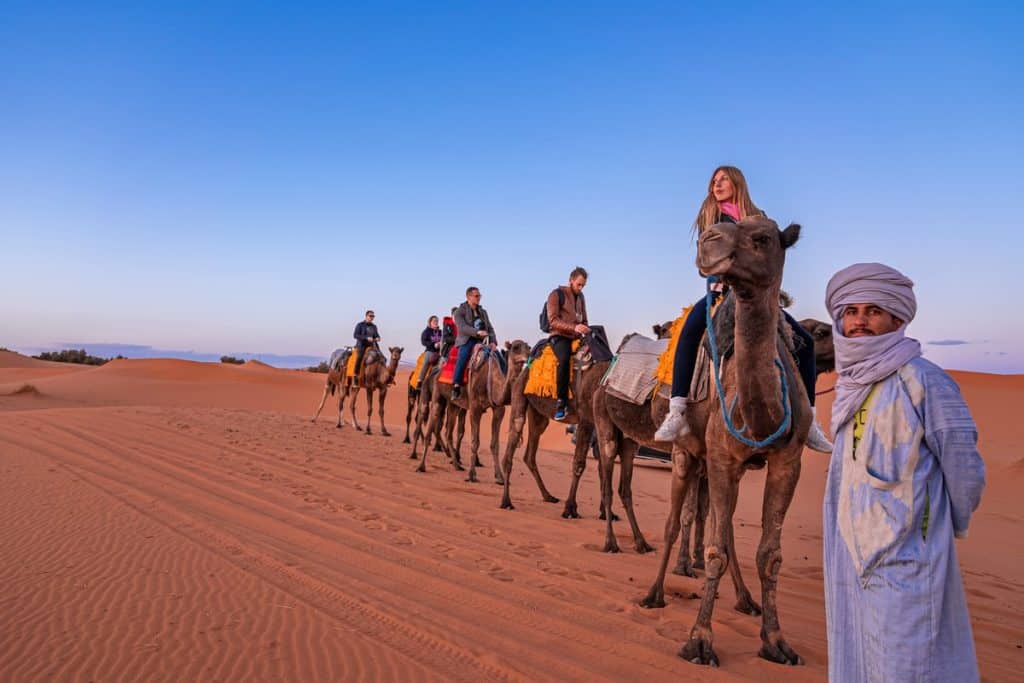 Camel caravan journey near temple of luxor, Luxor temples