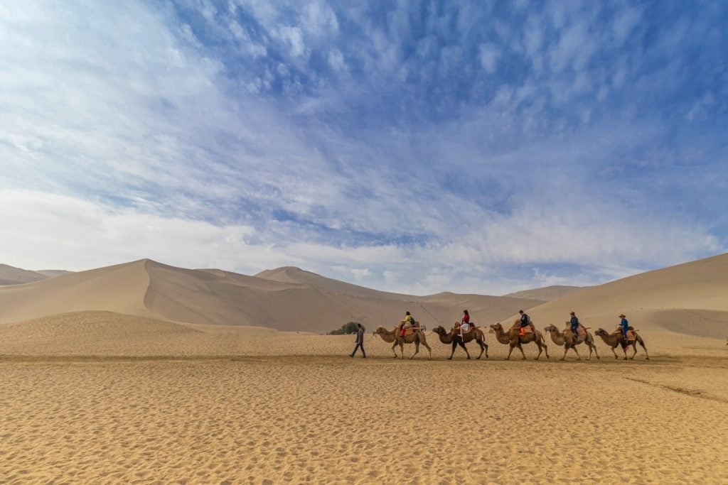 Camel caravan near temple of luxor, Luxor temples