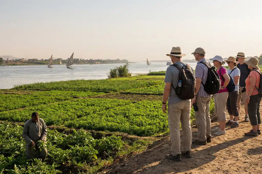 Travelers observing local agriculture in Qurna Village, luxor private tours, luxor sightseeing tours