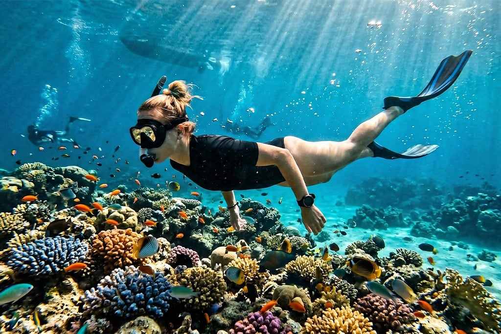Snorkeling ras mohammed national park tour, snorkeling sharm el sheikh