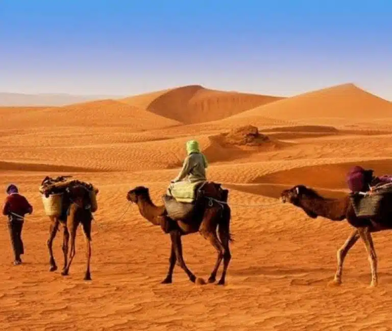 Camel caravan in Sharm El Sheikh desert atv tour near me, sharm el sheikh atv