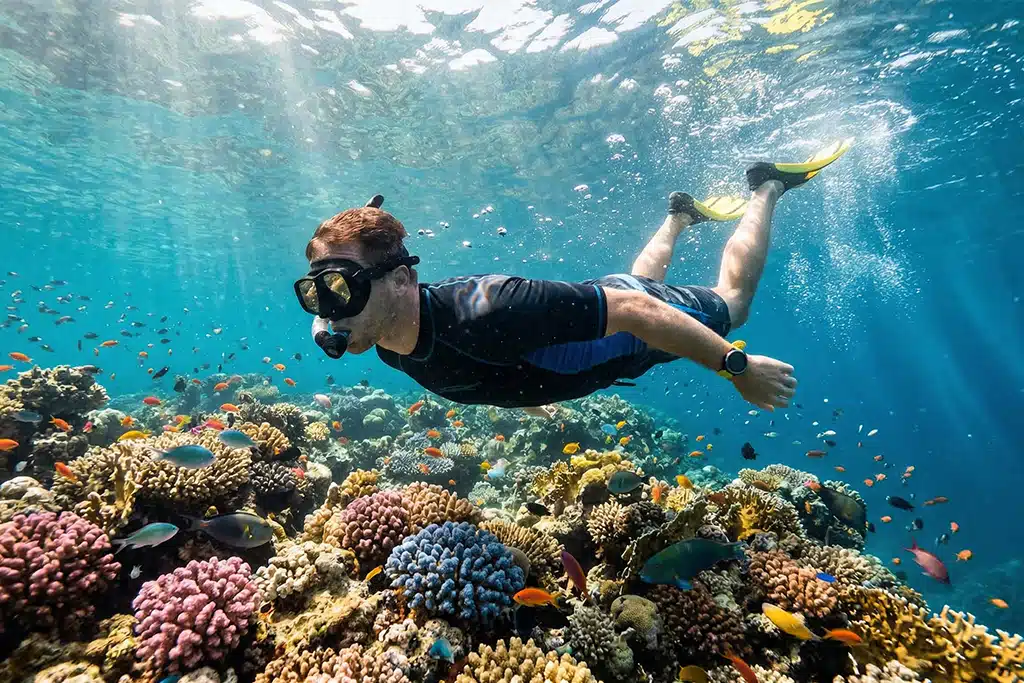 Snorkeling at White Island coral reef intro dive course sharm, snorkeling white island
