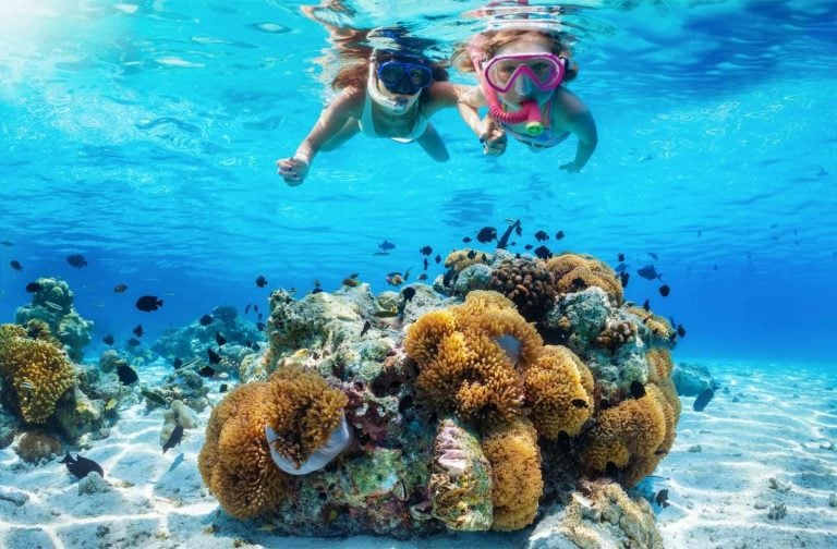 Tiran Island Snorkeling Cruise from Sharm El Sheikh with Lunch